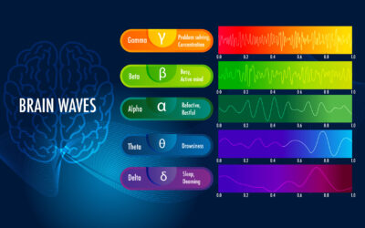 Understanding Brainwaves: The Rhythms of Consciousness